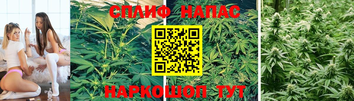 Бошки Шишки MAZAR Нефтекамск
